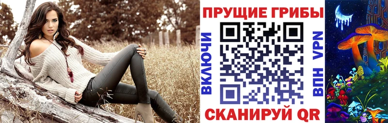 ОМГ ОМГ зеркало  Канск  Псилоцибиновые грибы MAGIC MUSHROOMS 
